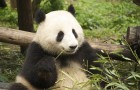 4 Reasons China Is On My Travel Wish List