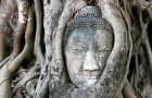 Why People Visit Thailand Again & Again
