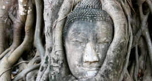 Why People Visit Thailand Again & Again