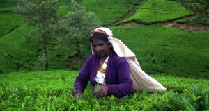 Places To Visit In Sri Lanka - Exploring The Hill Country  
