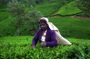places to visit in sri lanka