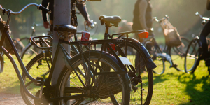 Top 5 Places To Cycle In Amsterdam