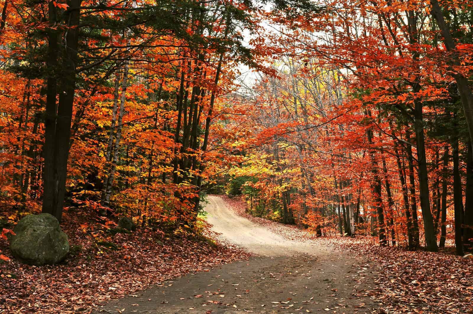 Best Places to Visit In September