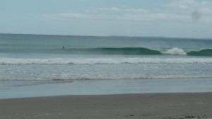 having swallowed half the New Zealand ocean