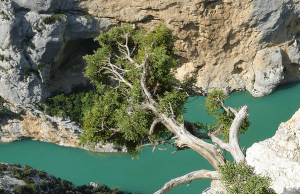 Verdon Gorge / Canyon Verdon– France Verdon Gorge / Canyon Verdon– France