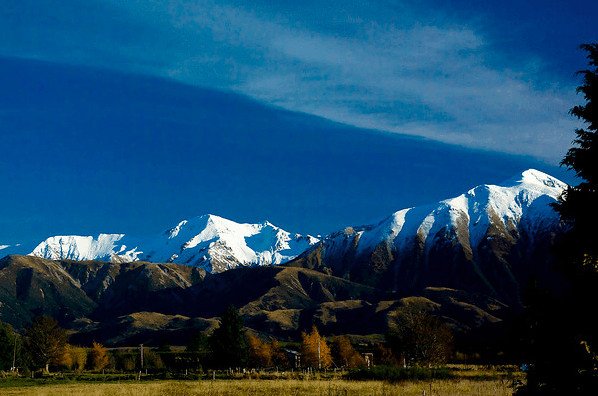 New Zealand vs Australia