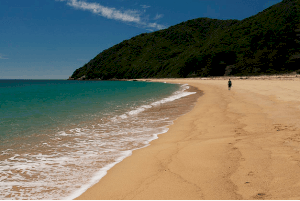 Golden Bay – New Zealand Golden Bay – New Zealand