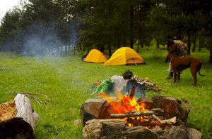 Camp for free! Camp for free!