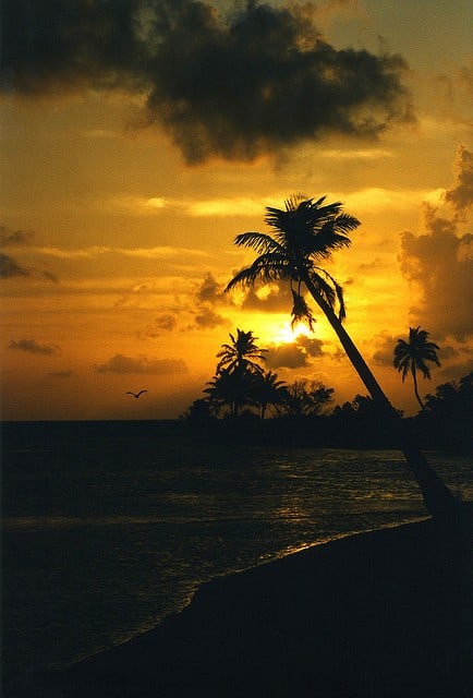 Belize Beach and Belize Jungle Resorts Belize Beach and Belize Jungle Resorts
