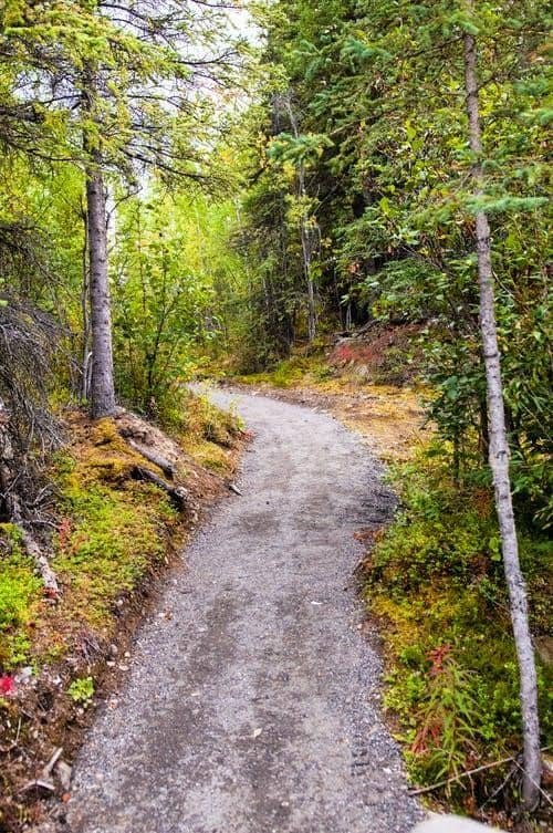A trail into the woods