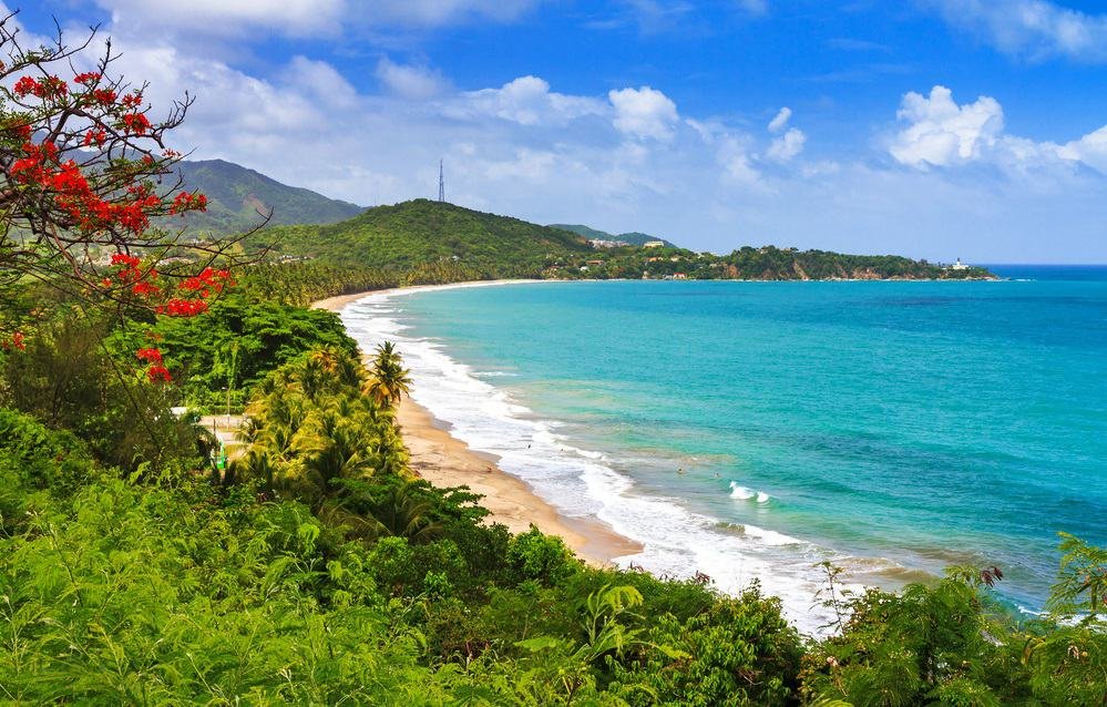 Beautiful tropical summer view of Puerto Rico with red flowers and a white beach