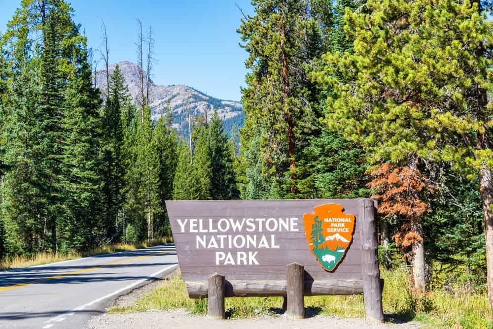 Best Time to Visit Yellowstone