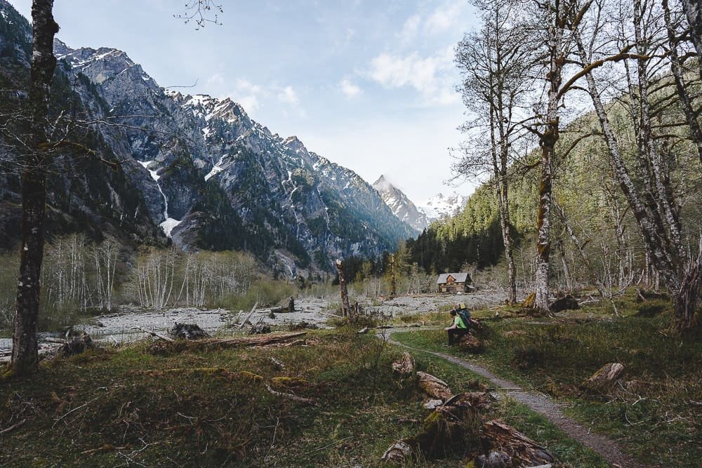 Olympic National Park Hikes the Enchanted Valley Via East Fork Quinault River