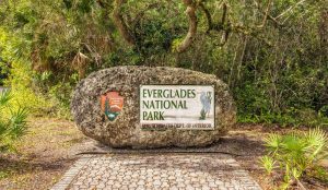 Everglades National Park Camping