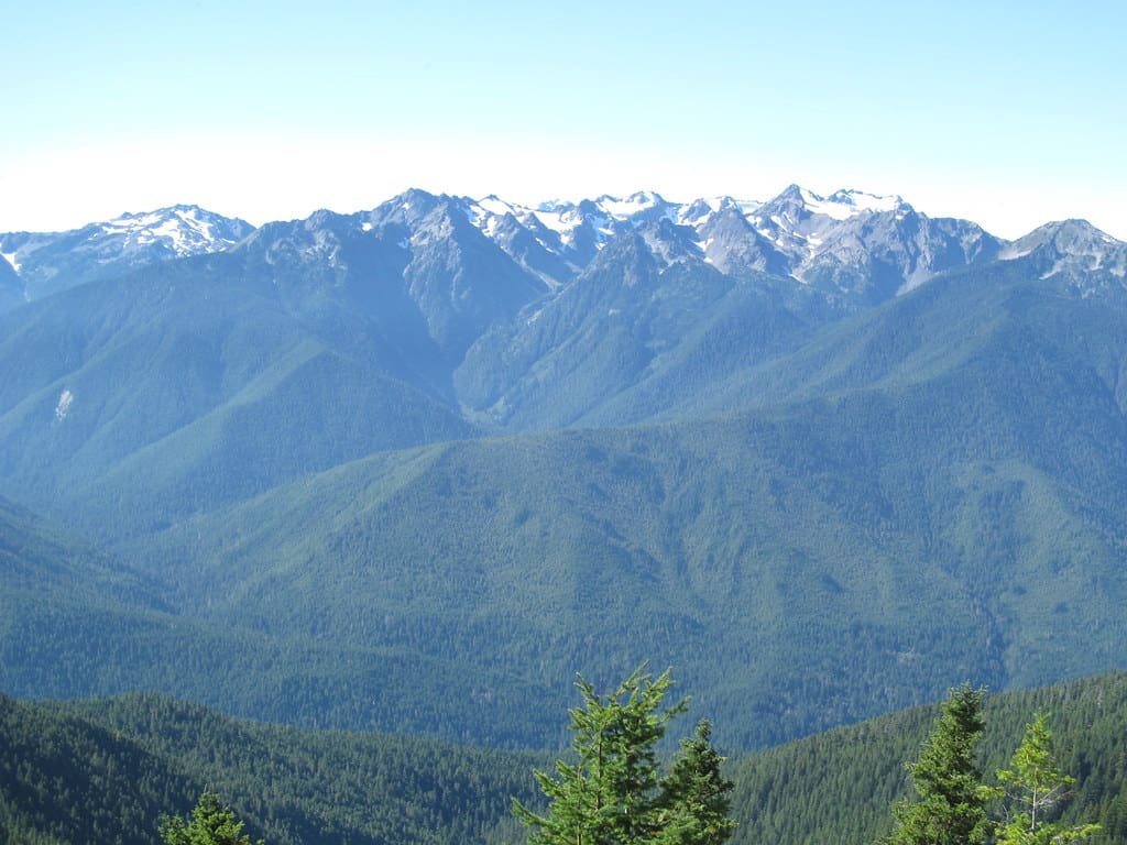 Hurricane Ridge