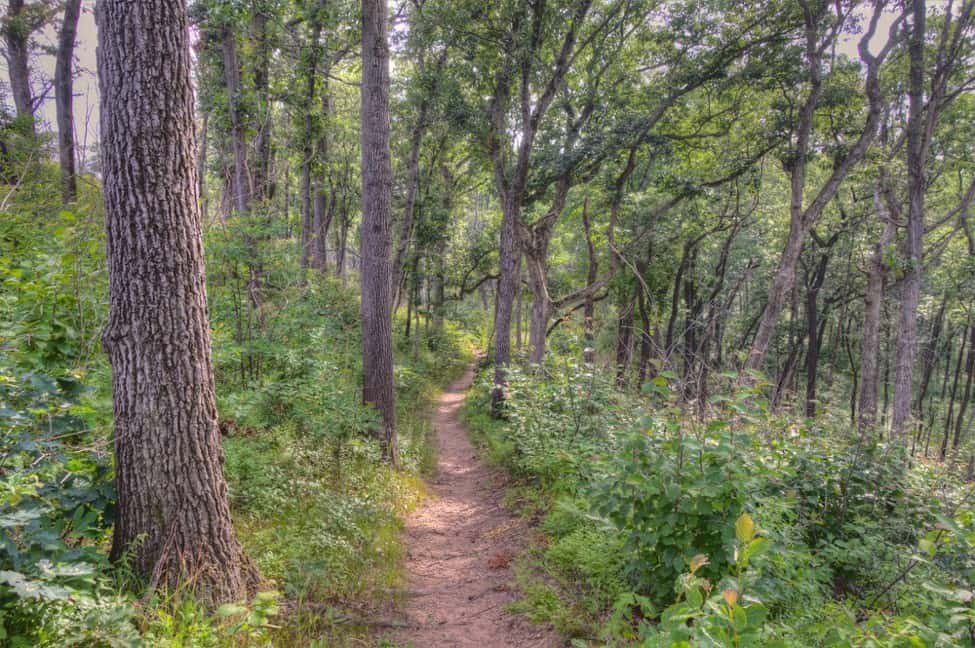 Indiana dunes bike trail