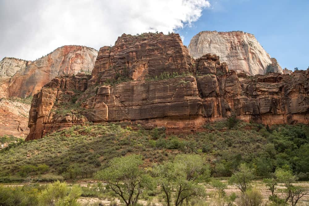 Landscape in Zion National Park