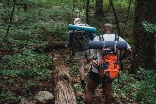 Men hiking in the woods