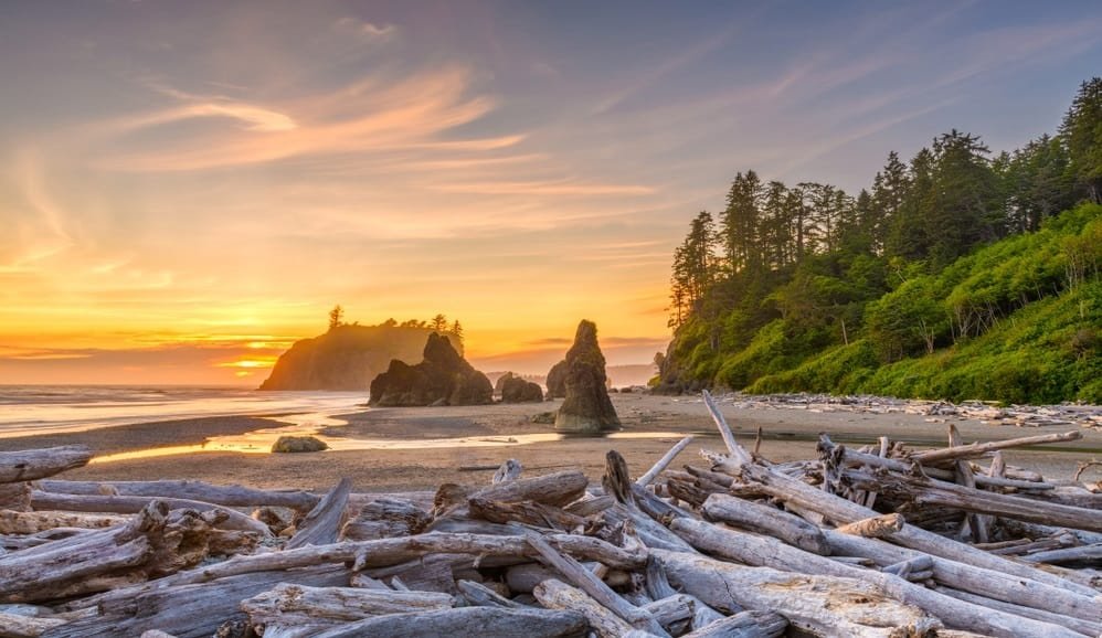 Best Time to Visit Olympic National Park, Washington, USA