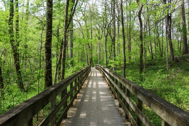 River Styx Hiking in Mammoth Cave National Park