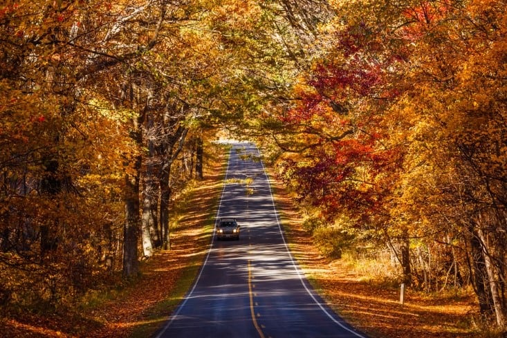 Best Time to Visit Shenandoah National Park - Skyline Drive