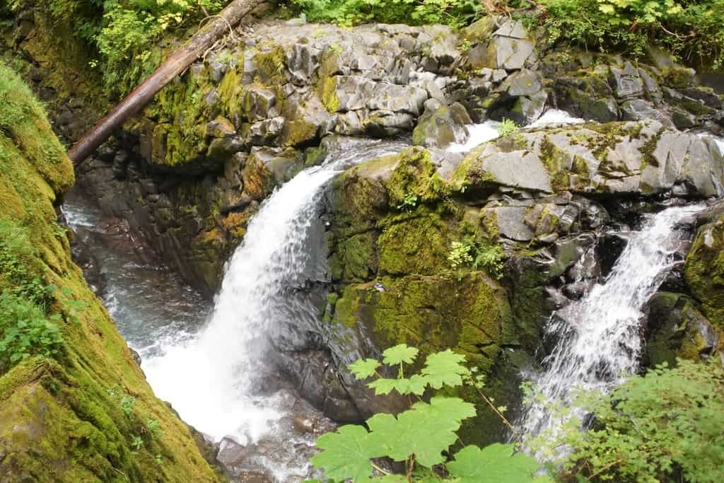 Sol Duc Valley