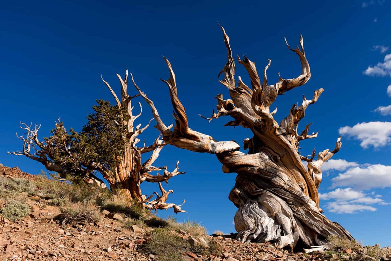 Best Hikes in Bryce Canyon National Park