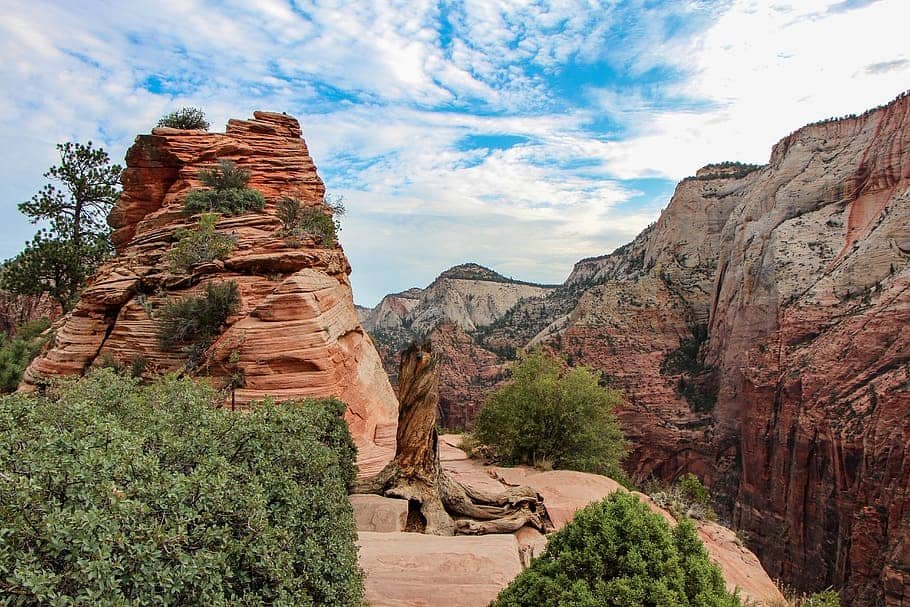 zion national park